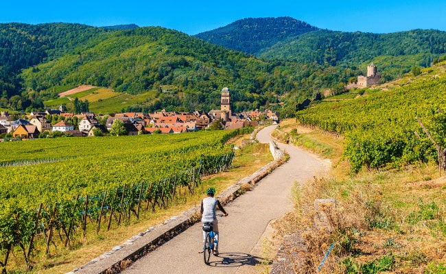 The Alsace Route du Vin route is one of the best Northern France Cycling Routes.