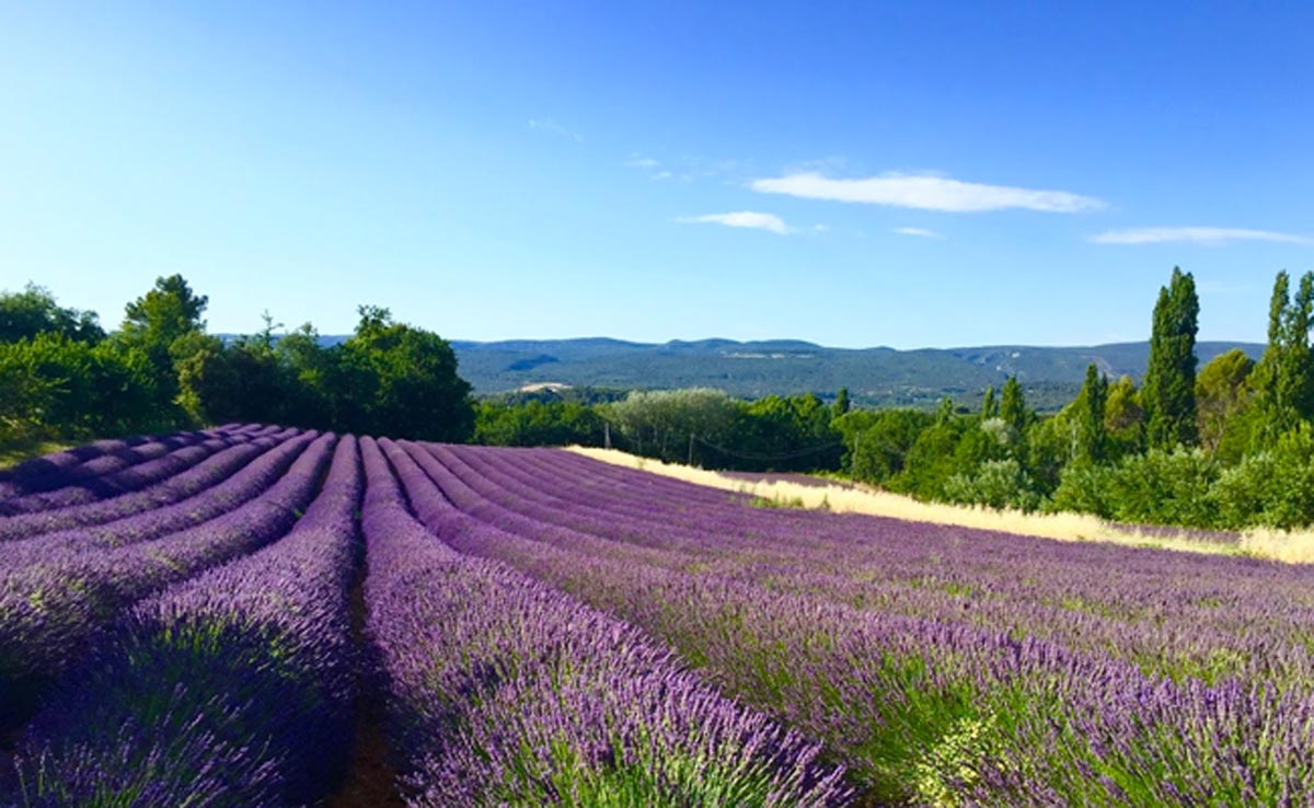 Provence is one of our favourite cycling weekends in France.
