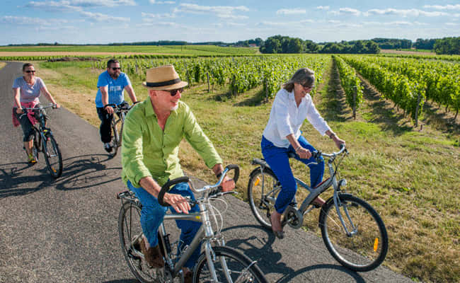 Cycling through vineyards
