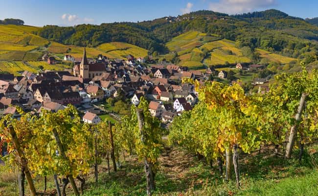 Alsace cycling routes