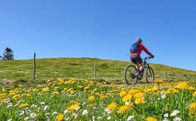 Planning a cycling holiday