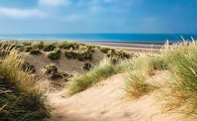 Sussex dunes