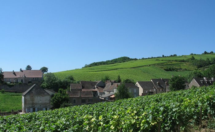burgundy-france-sunny-day