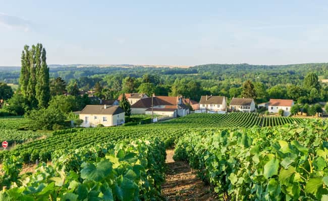 The Leisurely Cycling in Champagne tour is one of the best cycling holidays in Europe.