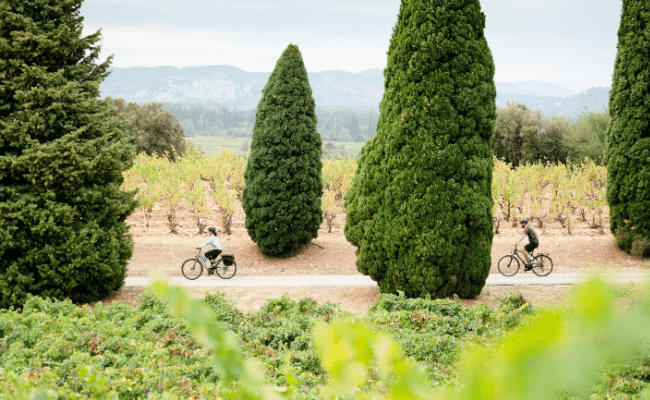 The Côtes du Rhône Vineyards tour is a cycle route through the South Of France.