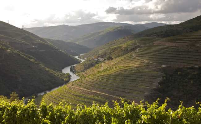 Douro Valley Cycling Trips