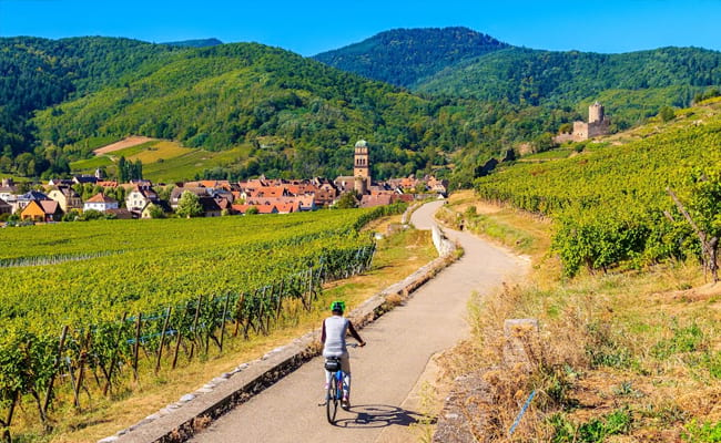 Alsace wine trail