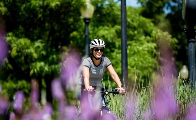 How to plan a spring cycling holiday