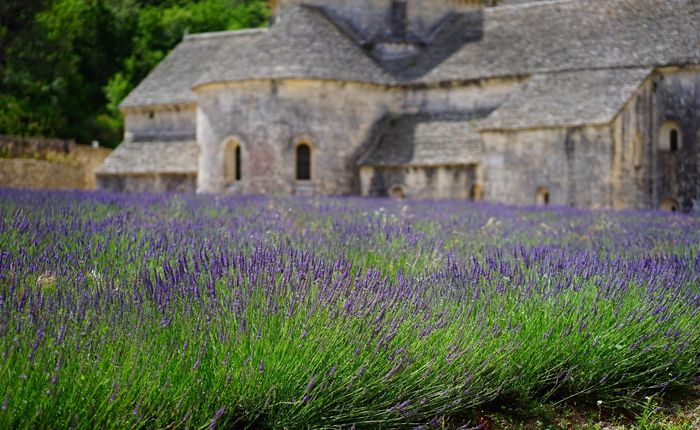provence-beautiful-lavendar-fields 