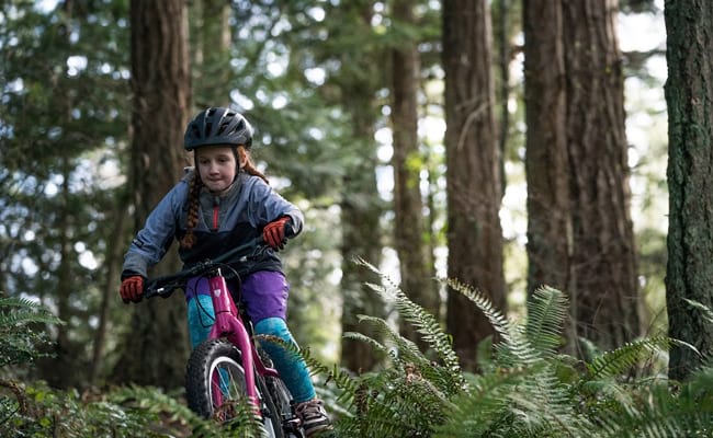 Cycling holidays with kids