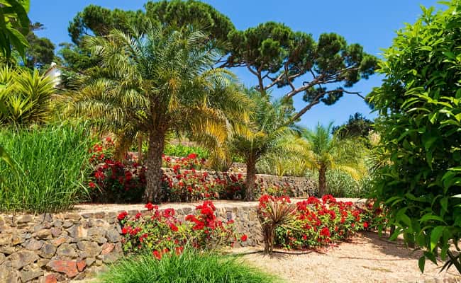 Catalonia botanical garden