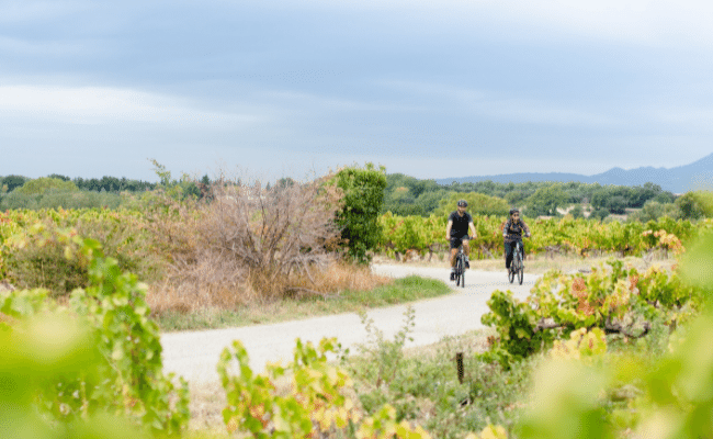 The Mazan to Chateauneuf du Pape tour is a cycling route in Provence.