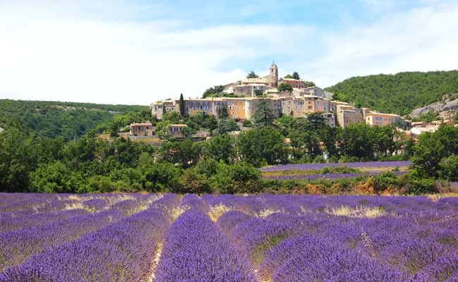 Provencal discovery